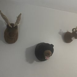 Stuffed Animal Wall Decoration