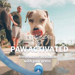 (190) Dog Water Fountain Outdoor, Dog Pet Water Sprinkler, Drinking Water Toy, Activated Water Fountain, Step On Dog Water Drinking Dispenser, Water F