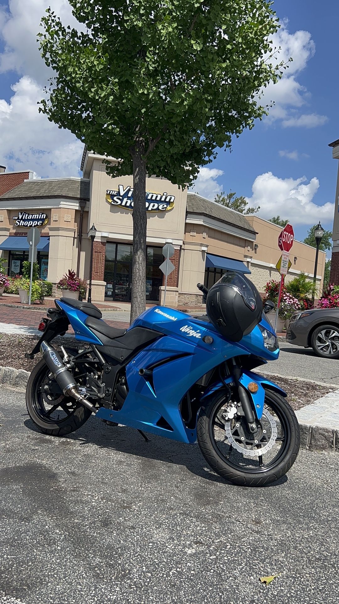 2010 Kawasaki Ninja 250r