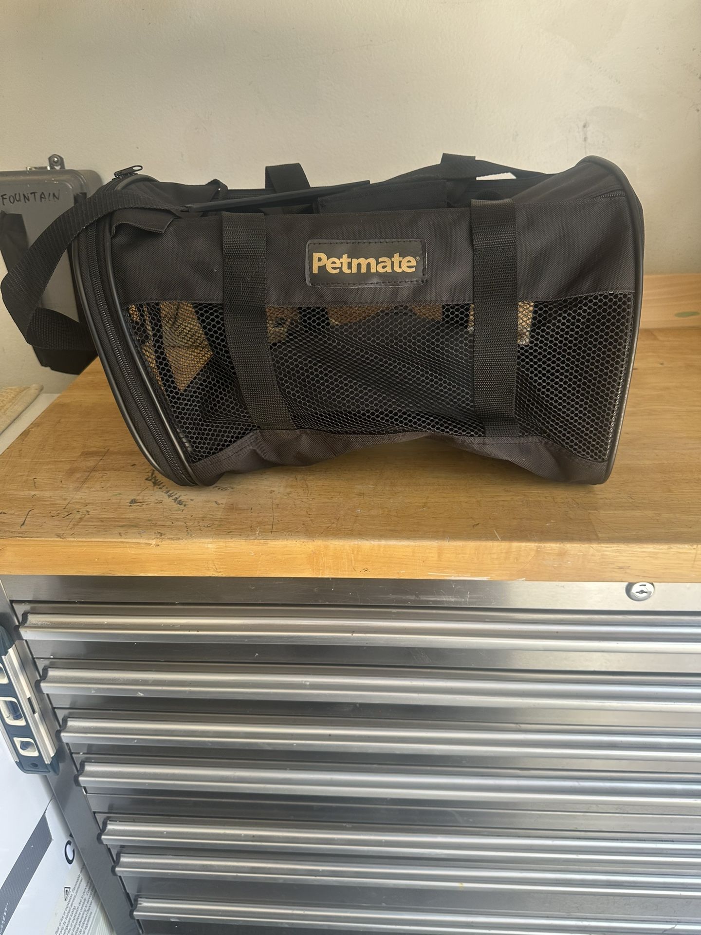Petmate Small Pet Carrier