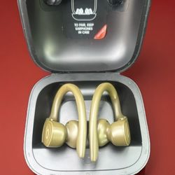 Beats by Dr. Dre Powerbeats Pro True Wireless Earbuds