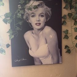 Marilyn Monroe Portrait 