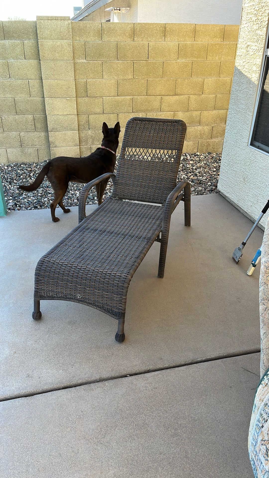 Hampton Bay (Sam’s Club) Chaise