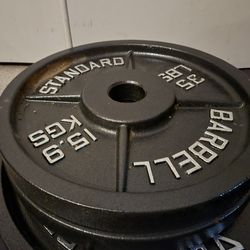 Set of two Cast Iron Olympic 2-inch Weight Plates 