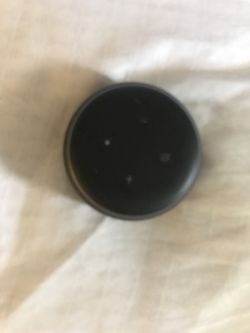 Echo Dot