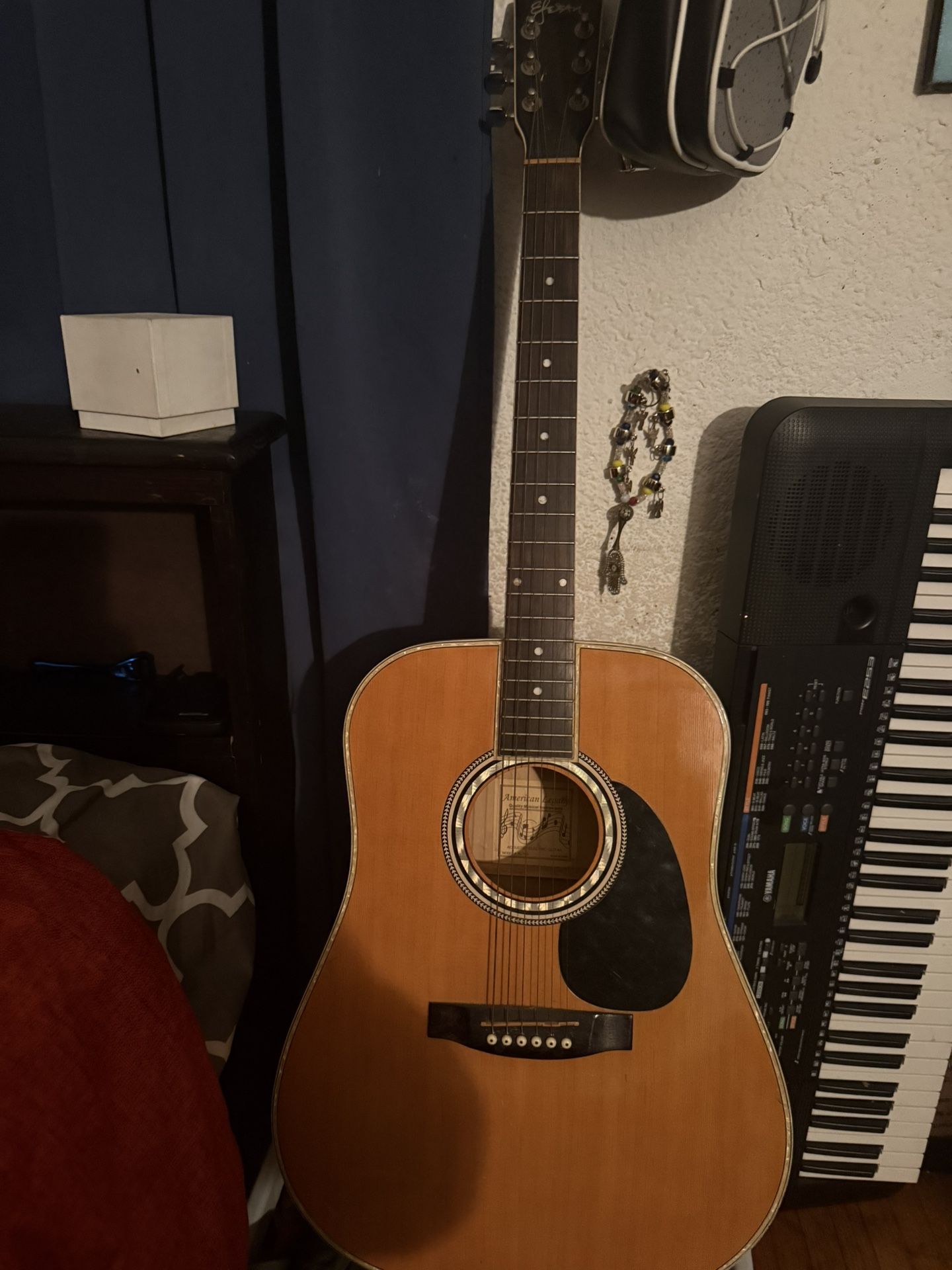 Esteban Acoustic Guitar 🎸 