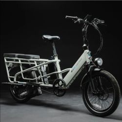 Lectric Xpedition 2.0 Dual Battery Long Range