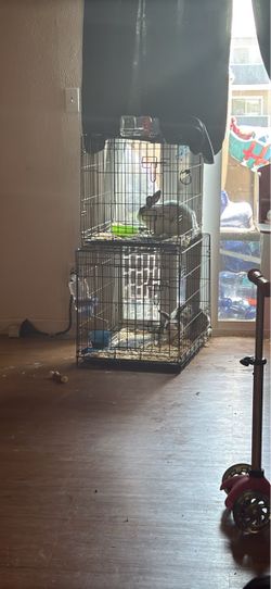 Cages for rabbits