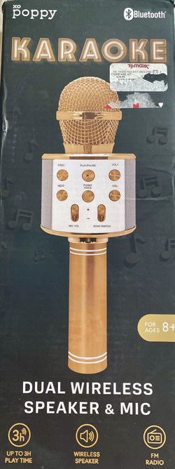 Karaoke Mic
