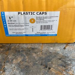 1 inch ring, shank plastic caps for Roofing
