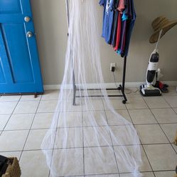 Large Veil