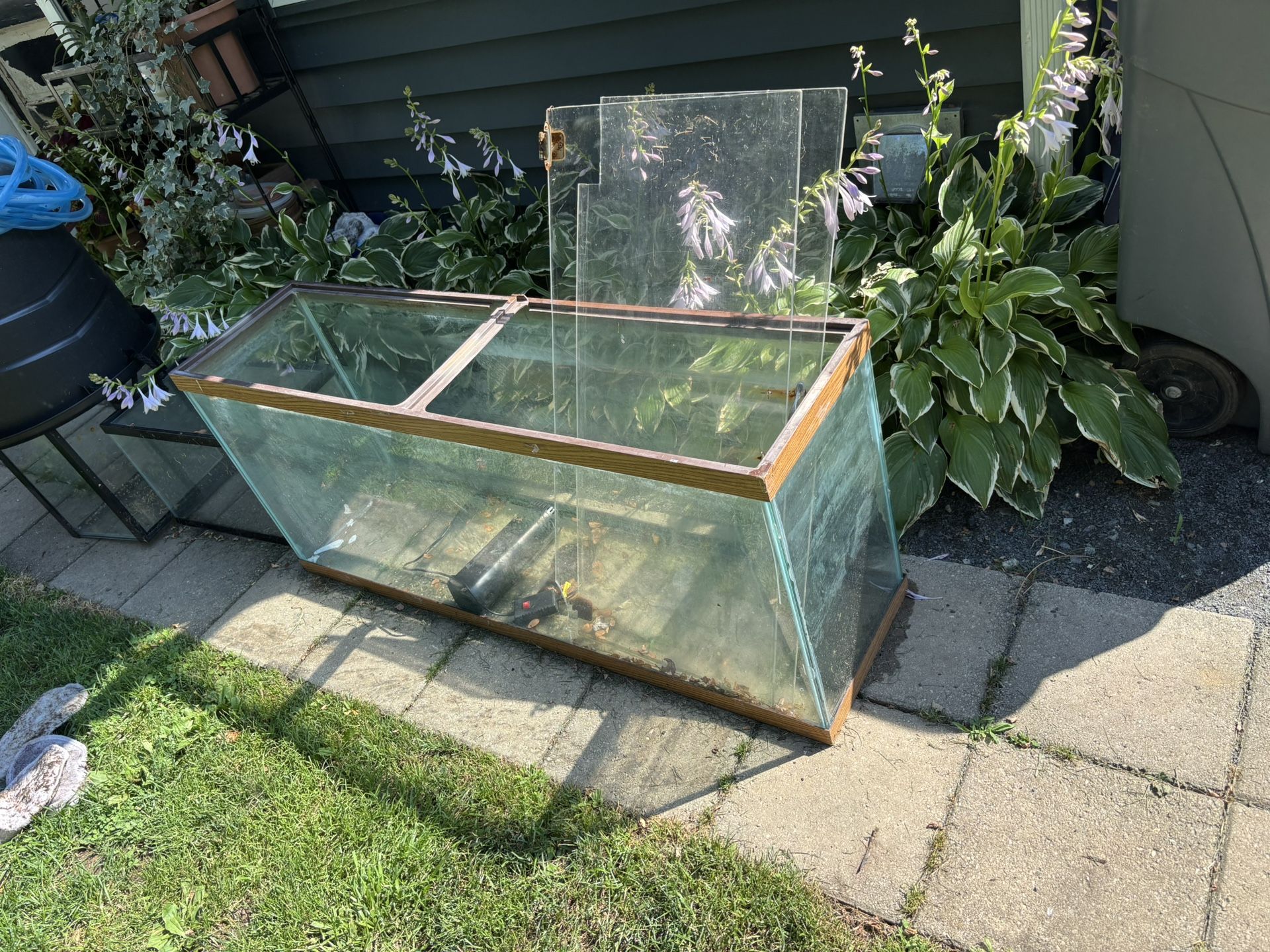 40 Gallon Fish Tank