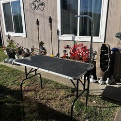 Grooming Table And Bath Bundle