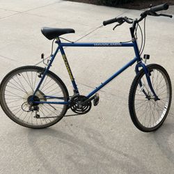 Schwinn Bike