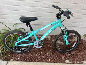 Celeste teal bianchi duel bike youth 20 inch wheels