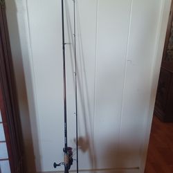 9' Daiwa Whipping Rod /Shimano Sienna 4000 Reel