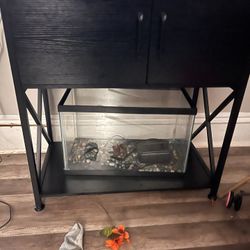 10 Gallon Fish Tank 
