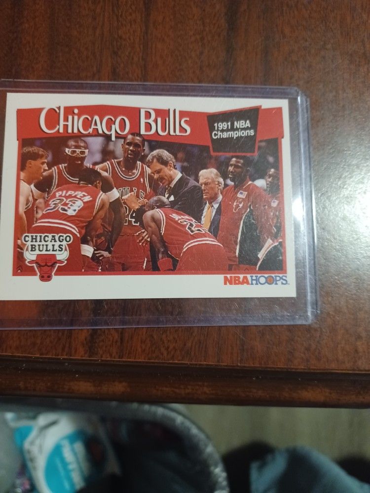 Chicago Bulls 1991 Champions