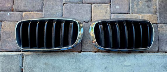 BMW Grill Authentic