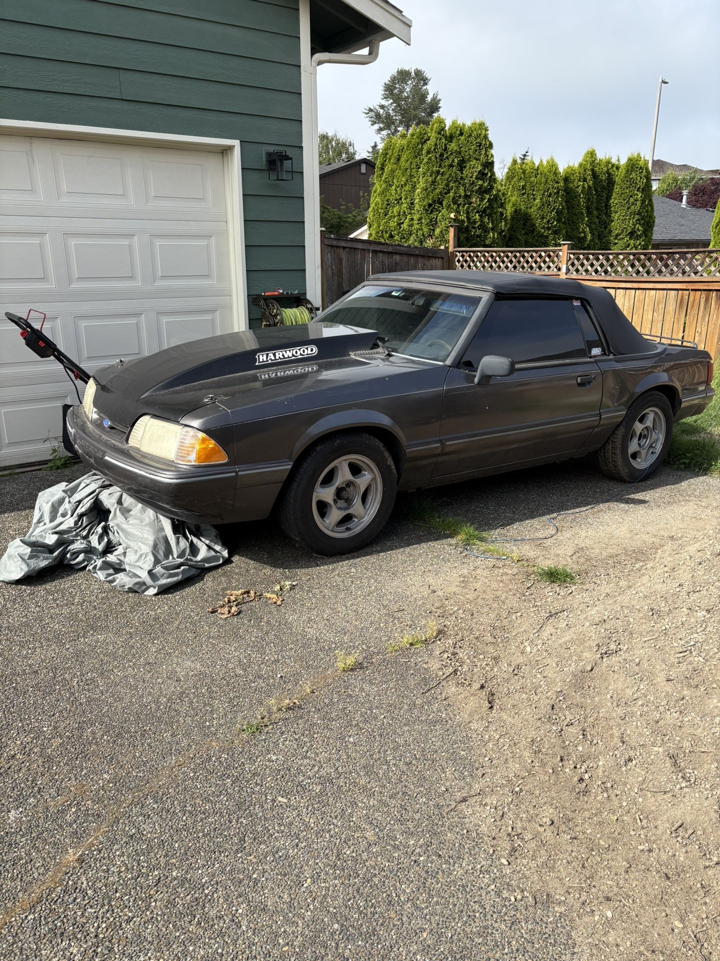 93 Foxbody