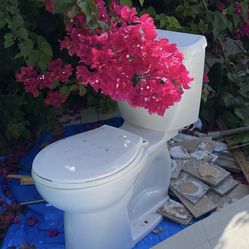 American Standard Toilet