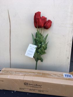 Red flowers