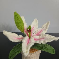 Handmade Crochet Lily In Pot