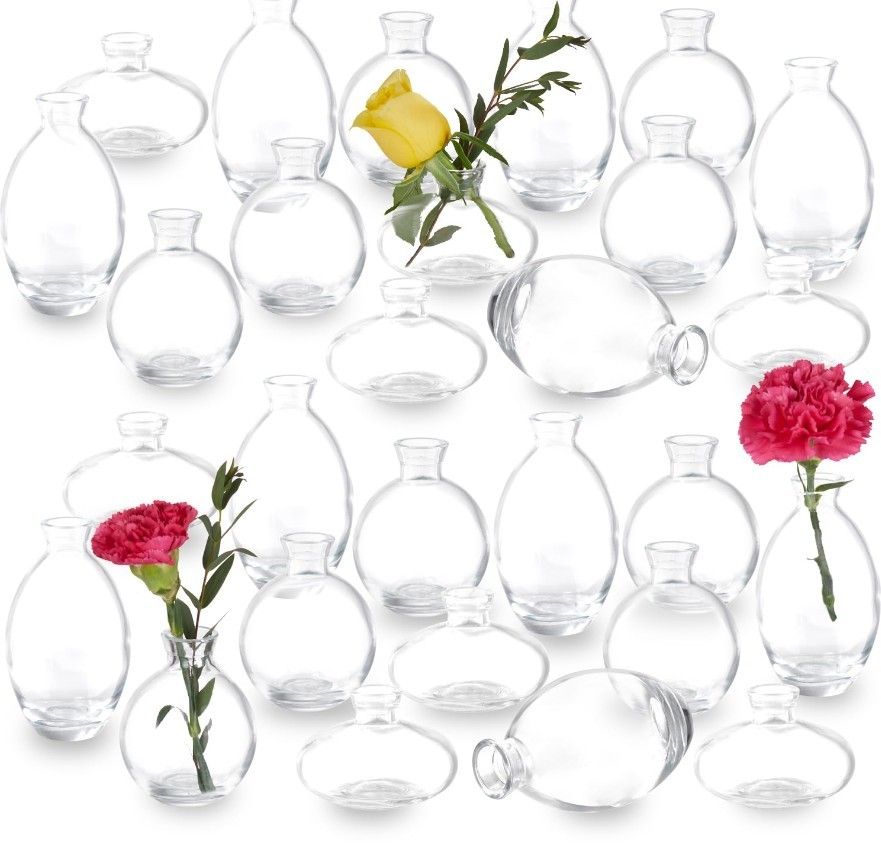 Clear Bud Vases (28 Pack)