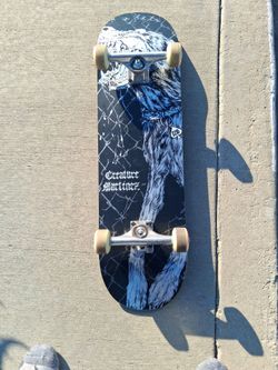 Complete Skateboard