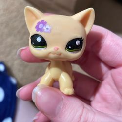 Lps Nintendo Shorthair Cat