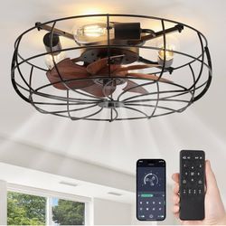 20" Caged Ceiling Fans with Lights and Remote, Flush Mount Bladeless Ceiling Fan Low Profile, Small Farmhouse Industrial Enclosed Ceiling Fan