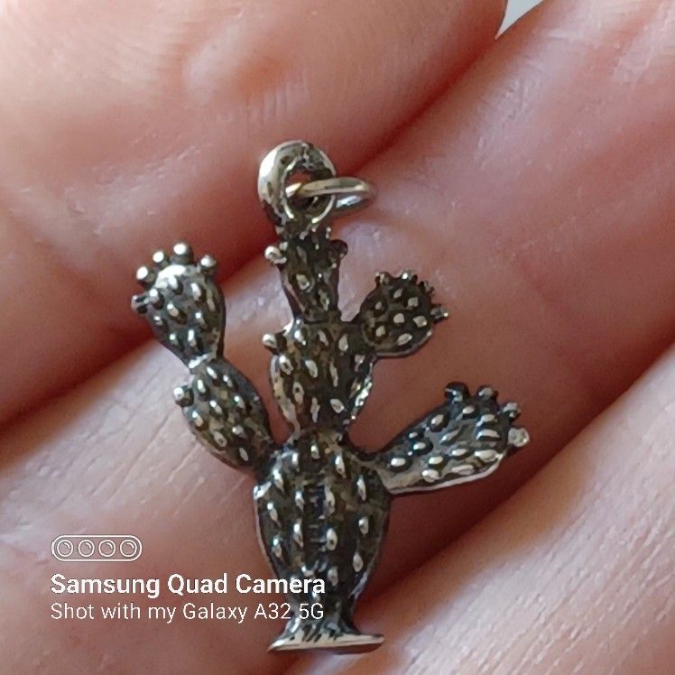 Vtg.sterling Silver "Cactus" Charm