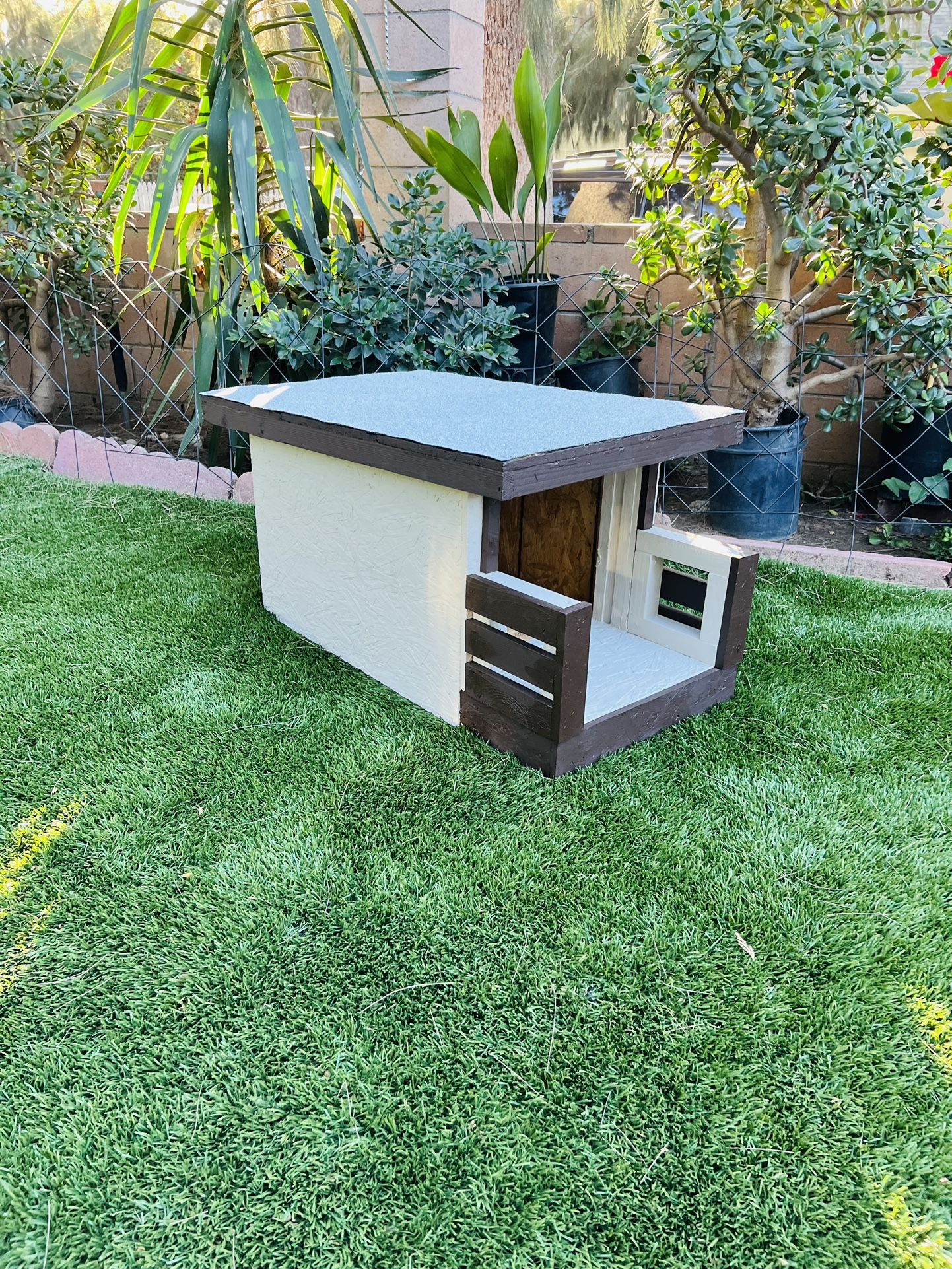 Dog House