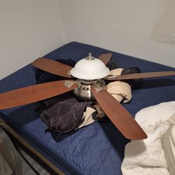 Great fan like new
