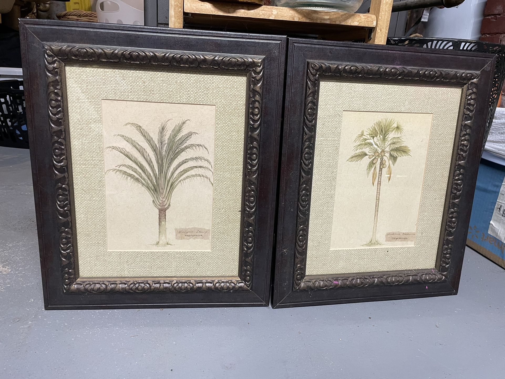 Palm Tree Ethnic 