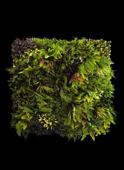 Eden B Foliage Panel
