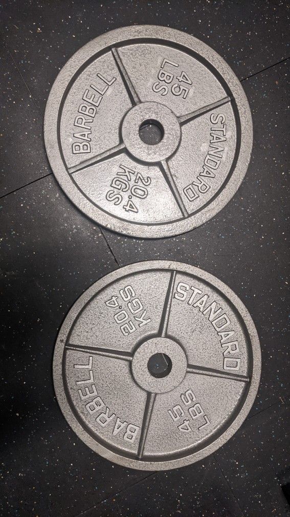 45lbs Steel Plates