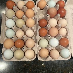 Organic Farm Fresh Chicken Eggs 1- Dozen