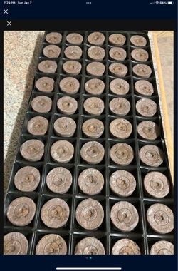 350 pots & tools