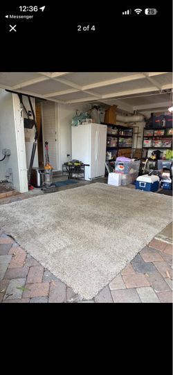 Crate & Barrel Memphis 8’ x 10’ Plush Area Rug – $200 OBO