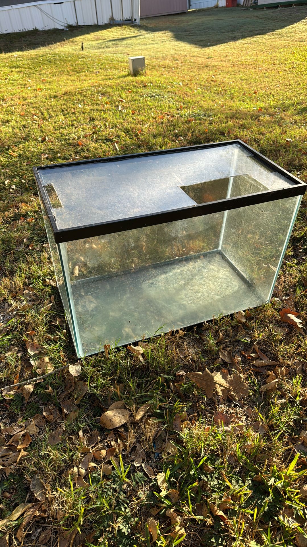 20 Gallon Tank With Acrylic Custom Lid