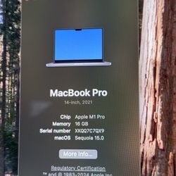 MacBook Pro 14’ M1 Pro 1 TB SSD 16GB RAM
