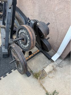 Olympic plates