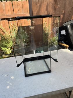 Reptile glass container