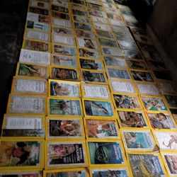 Magazines 