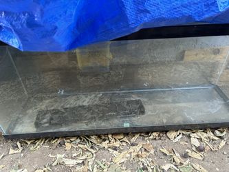 55 Gallon Fish Tank