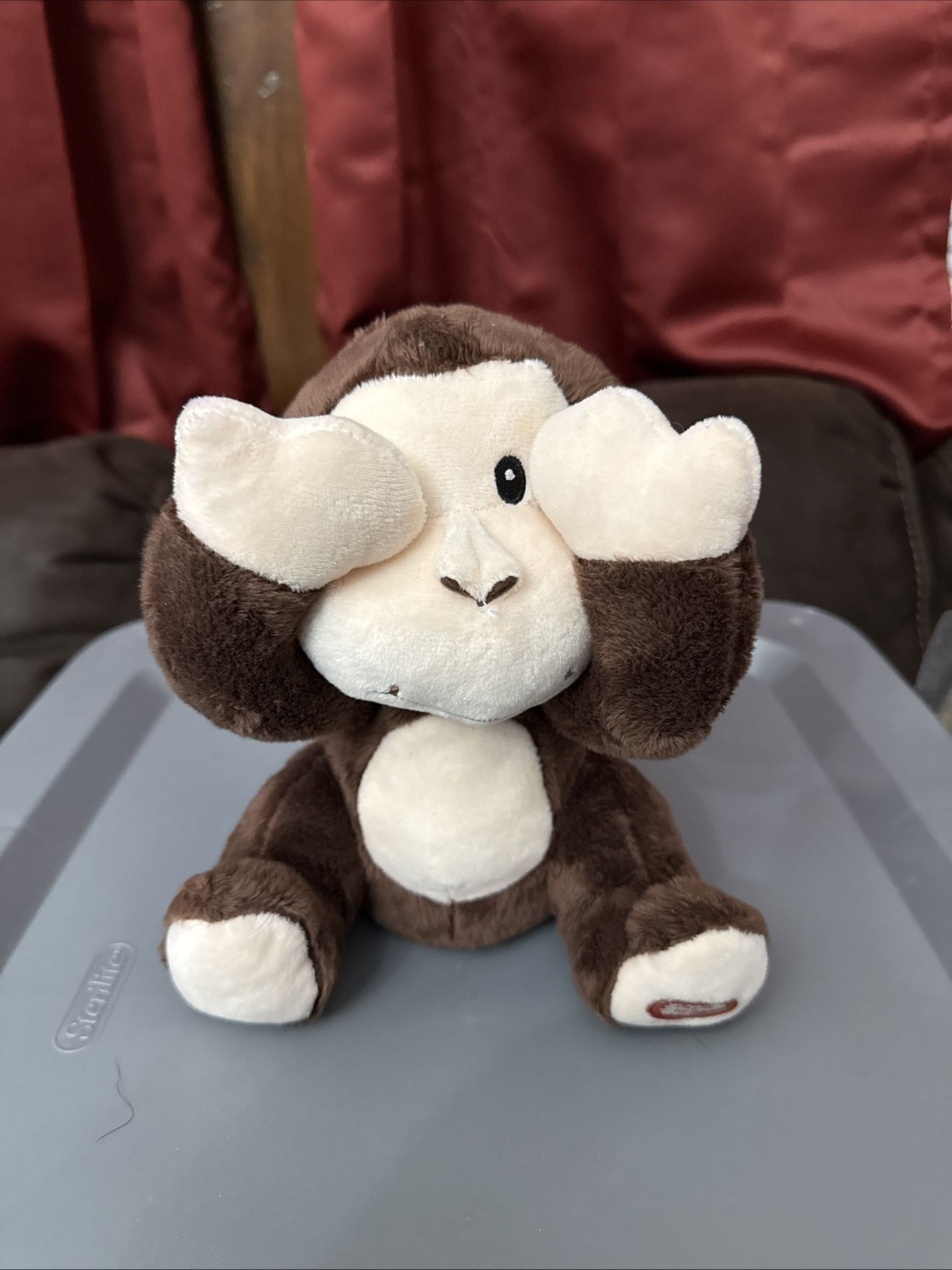 Peek A Boo Monkey 