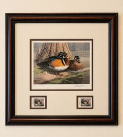 Framed Signed Daniel Smith Wood Duck Print w/ GA Stamp – Limited Edition 12,548/14,100