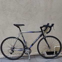 Trek 1000 Road Bike 