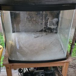 32g Biocube With Hood